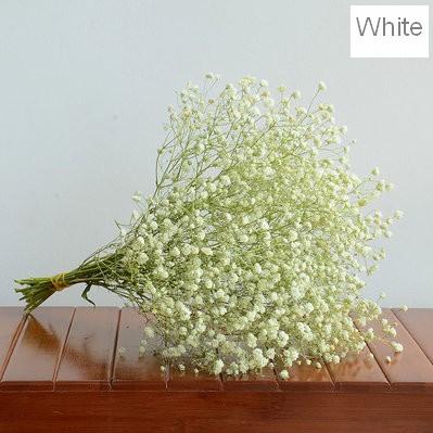 Bouquet of dried Baby's breath flowers in glass bottle Stock Photo